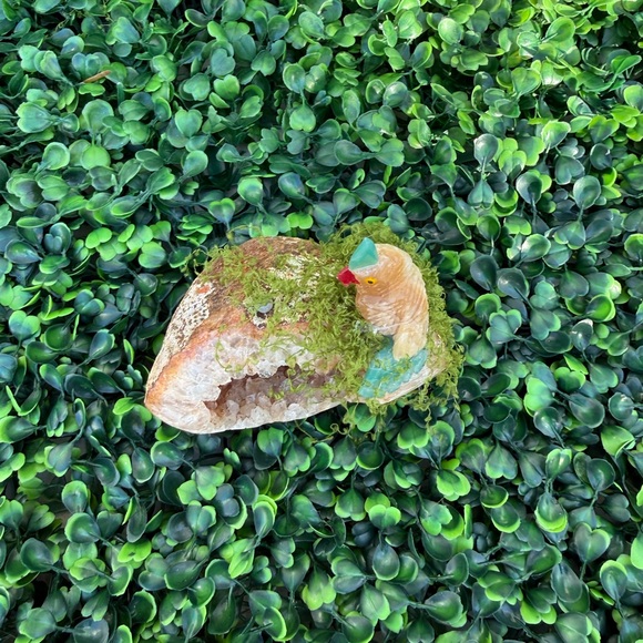 Parrot carving on Agate Geode – Handcrafted - Picture 5 of 6